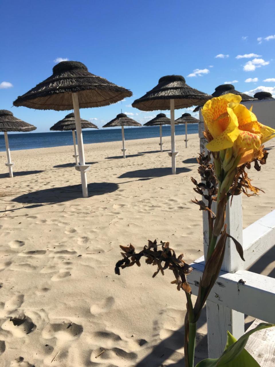Jp Sopot Apartamenty Екстериор снимка